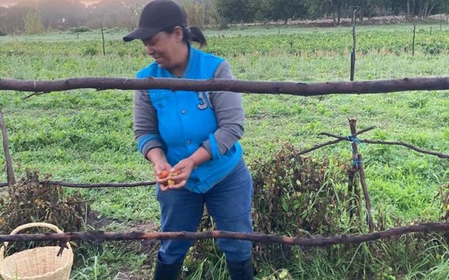 WhatsApp_Image_2021_04_18_at_07.36.33_3_1618815795