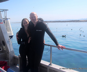 Daily Blog: 18 April 2021 | Shark Cage Diving in South Africa