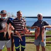 Winning team of Robbie, Johan and George of the boat Nu-Nu. Boat had best average of fish caught. Johan Burmeister had heaviest bag, George Rowan 2nd heaviest bag - Birkenhead Boothengelklub - Xplorio™ Gansbaai