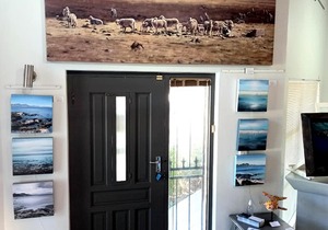 New Artworks added to Lize Art Gallery