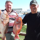Ben Uys (Oupa) with heaviest fish - Red Steenbras 3.8kg - Birkenhead Boothengelklub - Xplorio™ Gansbaai
