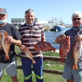 Robbie Nelson, Johan Burmeister and George Rowan (Nu Nu) with Silverfish and Red Roman - Birkenhead Boothengelklub - Xplorio™ Gansbaai