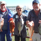 Deon van Staden, Kenny Owen en Anita Vermeulen with Jakopever, Hottentot and Silverfish - Birkenhead Boothengelklub - Xplorio™ Gansbaai