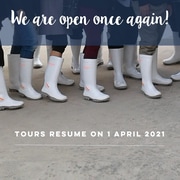 We are open once again!