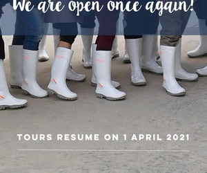 We are open once again!