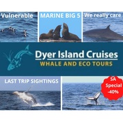 Next Dyer Island Marine Big 5 Tour: 24 April 2021