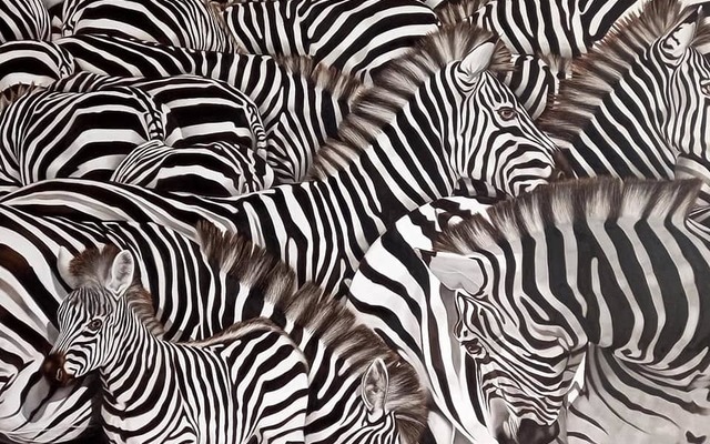 174261713_10160888906957598_3485238220157108611_n_1619178668