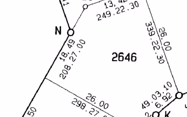 pam_golding_image_4_1619441571