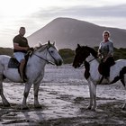 Beach Horse Riding - Horse Riding Gansbaai - Xplorio™ Gansbaai