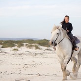 Beach Horse Riding - Horse Riding Gansbaai - Xplorio™ Gansbaai