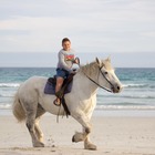 Beach Horse Riding - Horse Riding Gansbaai - Xplorio™ Gansbaai
