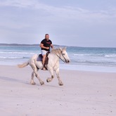 Beach Horse Riding - Horse Riding Gansbaai - Xplorio™ Gansbaai