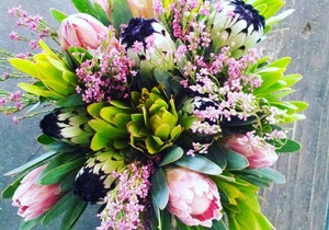 Proteas for Mother's Day