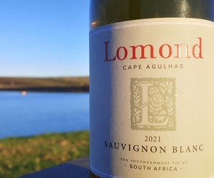 New 2021 Estate Sauvignon Blanc