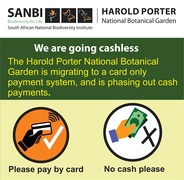 We Are Going Cashless