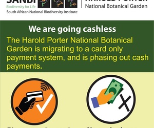 We Are Going Cashless