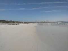 On the Beach: Nurdle Gatherers