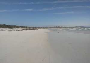 On the Beach: Nurdle Gatherers