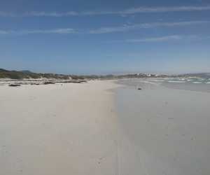 On the Beach: Nurdle Gatherers