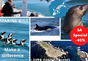 Next Dyer Island Marine Big 5 Trip: 12 May 2021