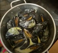 Forage For Your Own Mussels