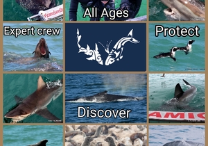 18 May 2021: Next Dyer Island Marine Big 5 Trip