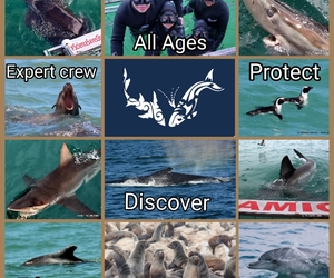 18 May 2021: Next Dyer Island Marine Big 5 Trip