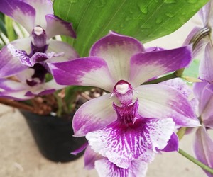 29 May 2021: Eikenhoff Open Day