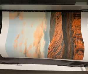 Hermanus Fynarts Festival