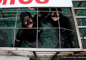 25 May 2021: Next Marine Dynamics Shark Cage Diving Tour