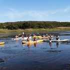 2021 Monitor Camp Wortelgat Outreach - Okkie Smuts Primary School - Xplorio™ Stanford