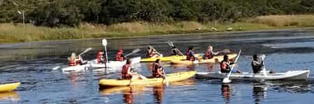 WhatsApp_Image_2021_04_07_at_2.48.22_PM_1621940321