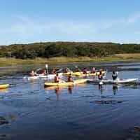 2021 Monitor Camp Wortelgat Outreach - Okkie Smuts Primary School - Xplorio™ Stanford