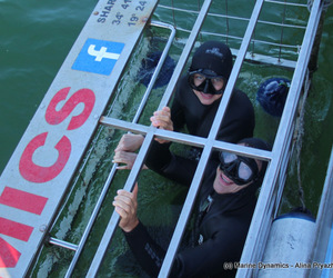 Daily Blog: 25 May 2021 | Shark Cage Diving in South Africa