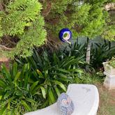 Birdfeeders - Lili & Co - Xplorio™ Kleinmond