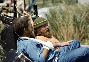 Injury on Gough Island