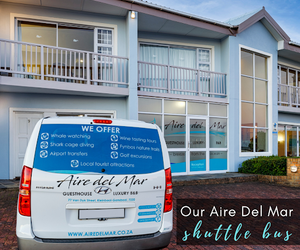 Our Aire del Mar Shuttle Bus
