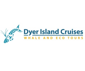 1 June 2021: Next Dyer Island Marine Big 5 Trip