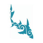 1 June 2021: Next Marine Dynamics Shark Cage Diving Tour