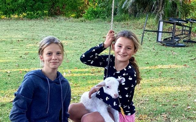 WhatsApp_Image_2021_06_03_at_09.11.42_1622709472