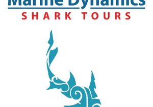 9 June 2021: Next Marine Dynamics Shark Cage Diving Tour
