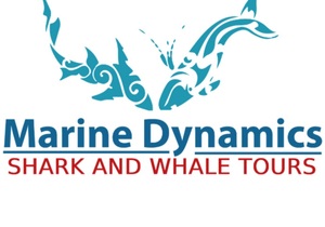 10 June 2021: Another Fin Tastic Day on the Sea