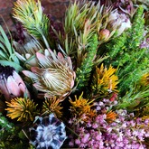 Flowers - Lili & Co - Xplorio™ Kleinmond