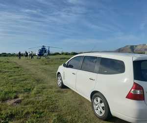 Shark Cage Diving Trip