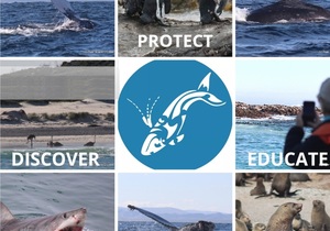 15 June 2021: Next Dyer Island Marine Big 5 Trip