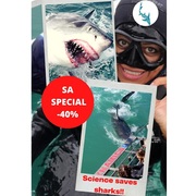 16 June 2021: Next Marine Dynamics Shark Cage Diving Tour