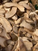 Freshly Frozen Porcini Mushrooms