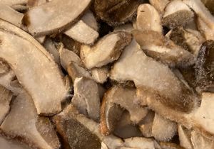 Freshly Frozen Porcini Mushrooms