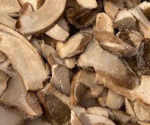 Freshly Frozen Porcini Mushrooms