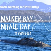 19 June 2021: Walker Bay Whale Day